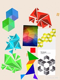 Geometrical insets