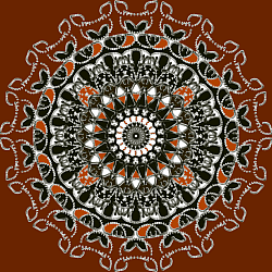 Visual appeal and recognition of design and symmetry
